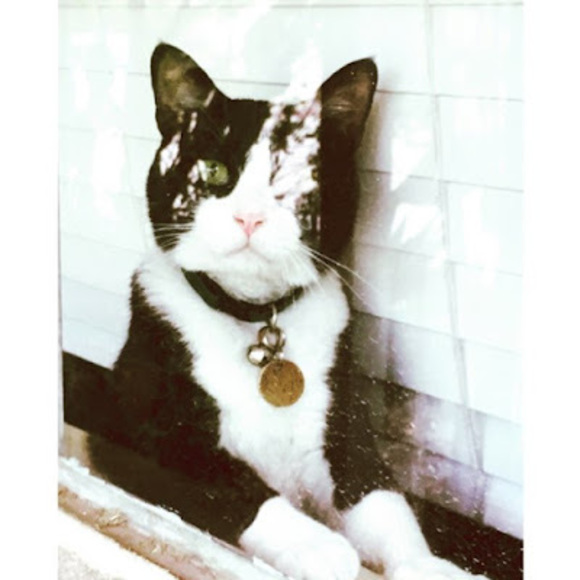 Meet your Posher, Caitlyn - Picture 1 of 1